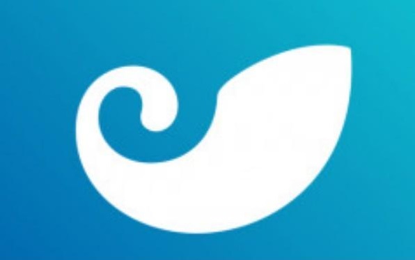 小金